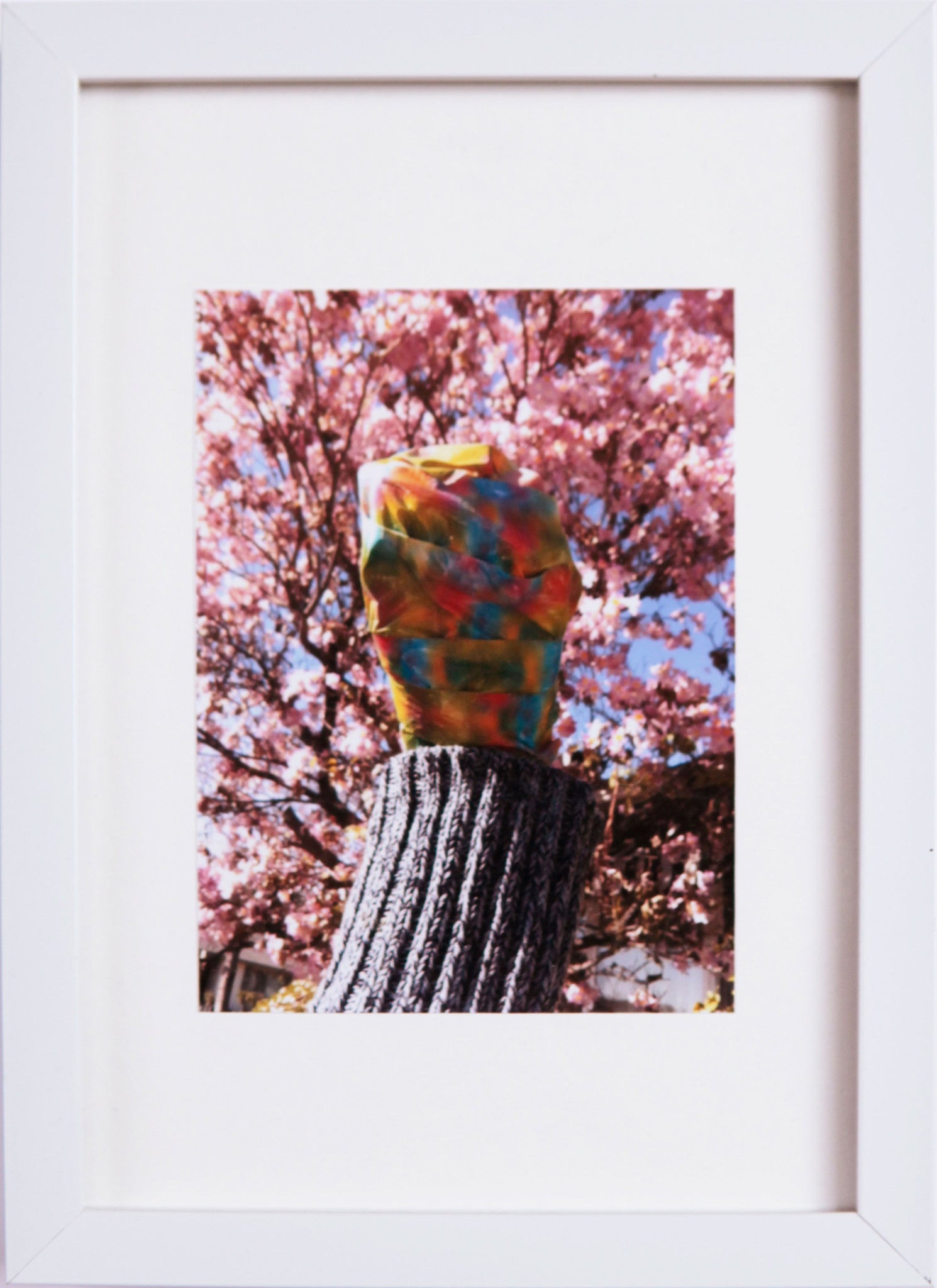COLOR/D VOL I (28)/ORIGINAL PHOTOGRAPH, 2014